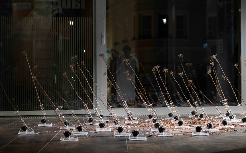 Ausstellung: AUSSER KONTROLLE, esc medien kunst labor