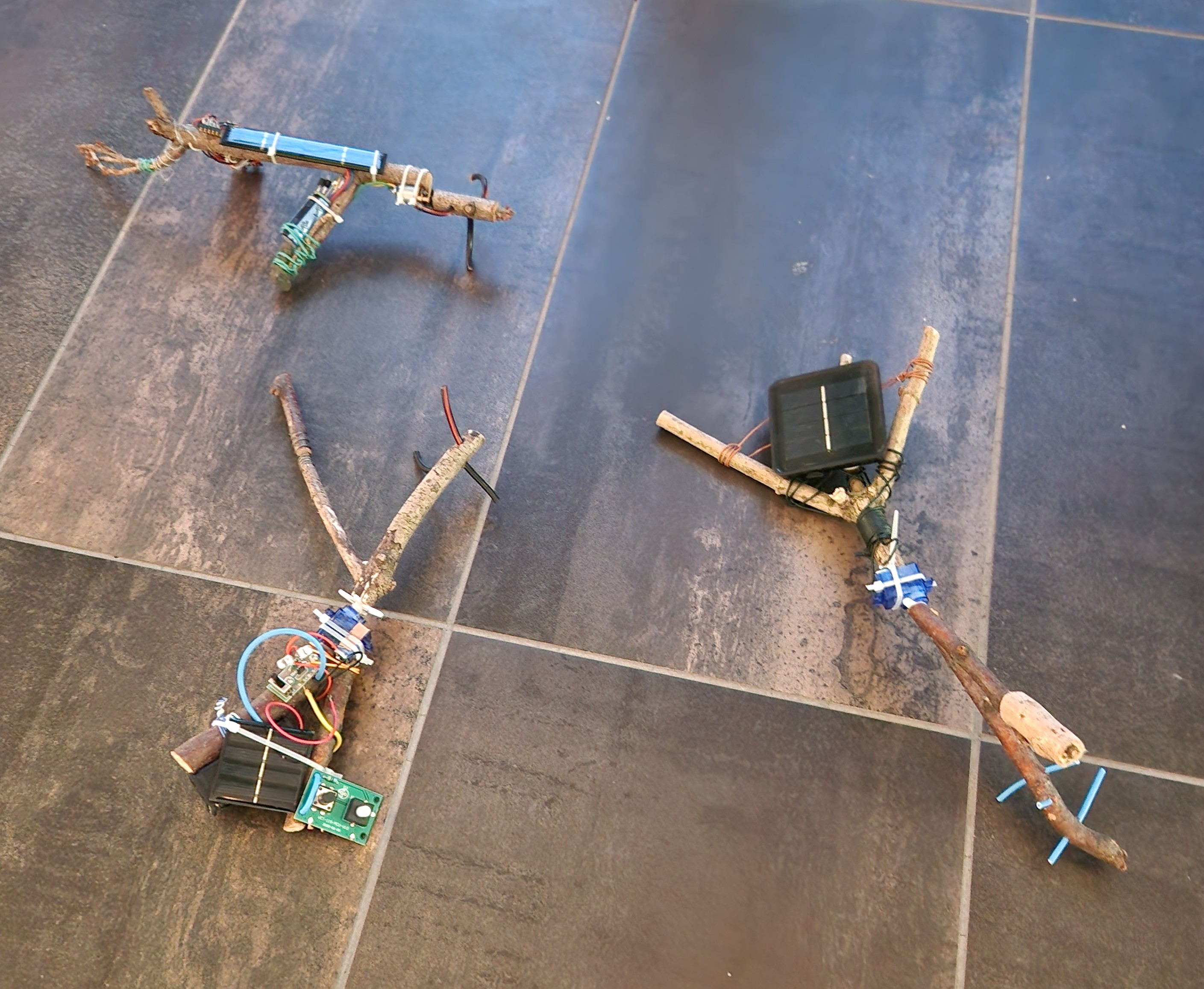 Fotocredit: „SolarCrawlers“ von Juli Laczkó (Fotocredit:kuma) Ausstellung: Out Of Control im esc medien kunst labor