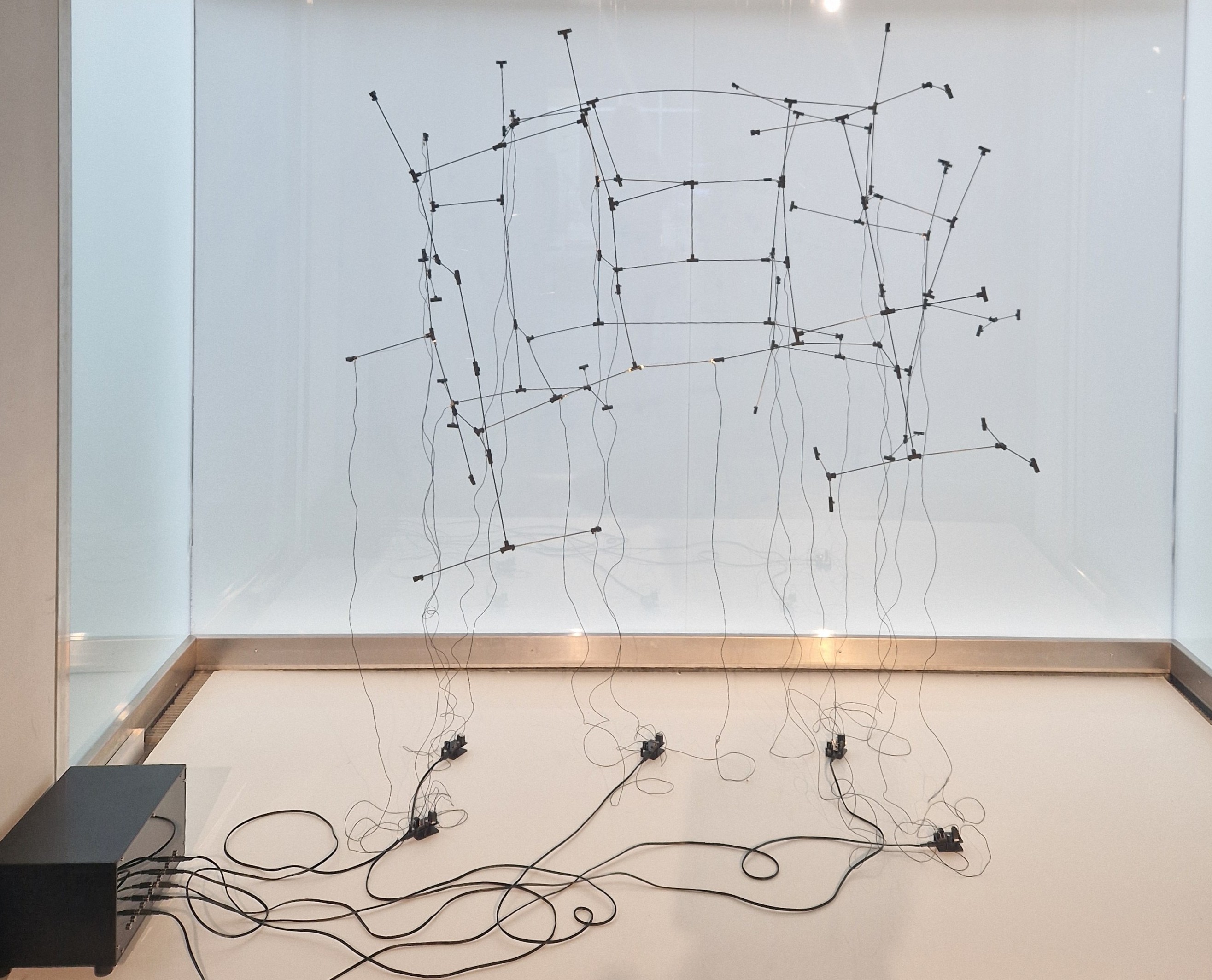 Fotocredit: „Mutiertes L-System“ von Lotta Stöver (Fotocredit:kuma) Ausstellung: Out Of Control im esc medien kunst labor