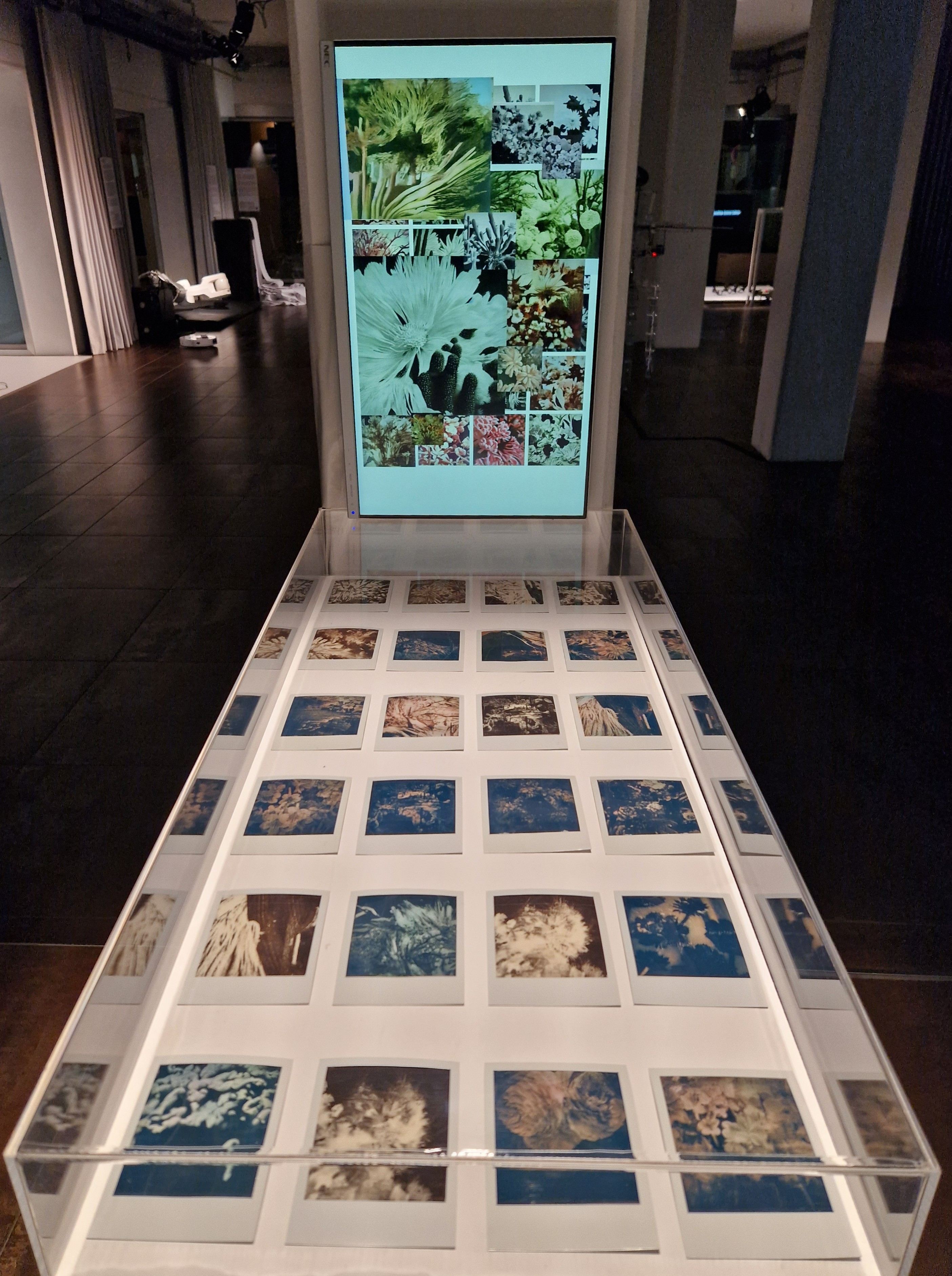 Fotocredit: „Long Short Term Memories“ von Sofia Crespo und Anna Ridler (Fotocredit:kuma) Ausstellung: Out Of Control im esc medien kunst labor