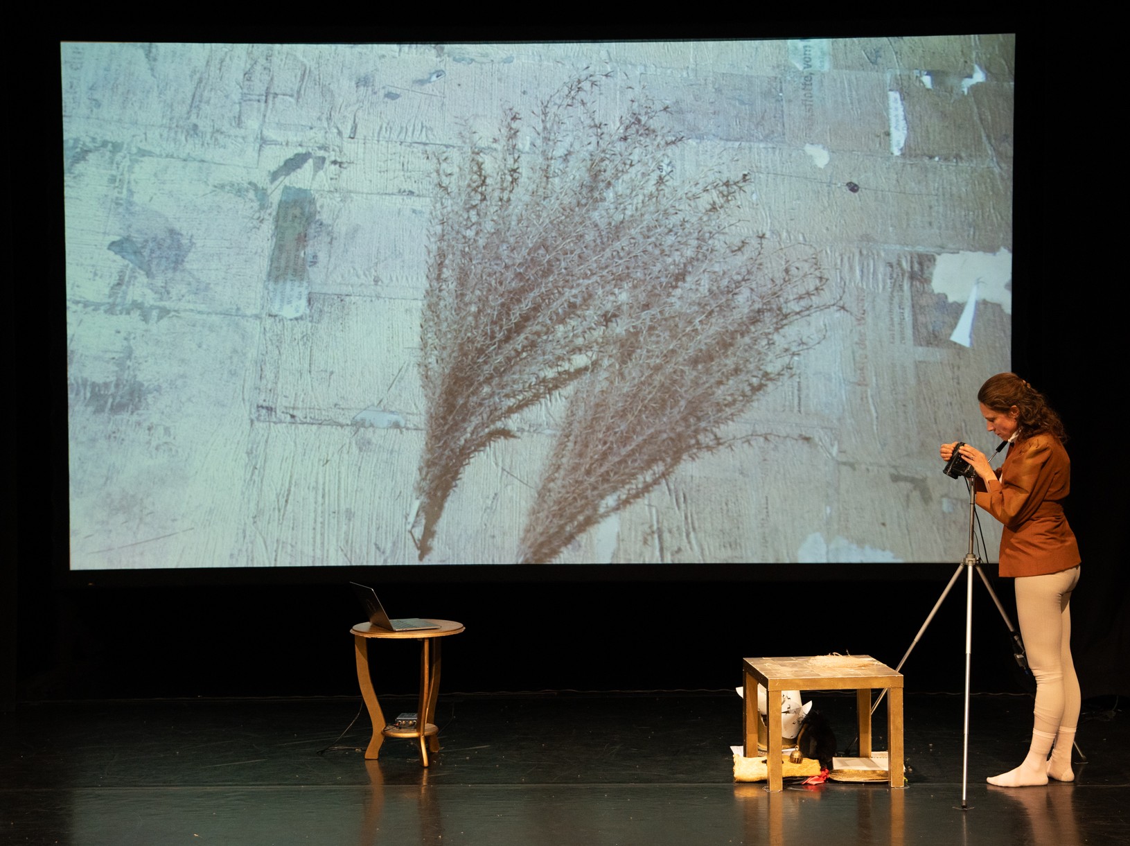 „Johanna von Orleans“ von und mit Christina Scheutz