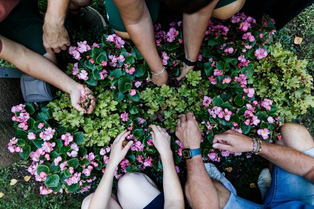Eine Kampagne der steirischen Friedhofsgärtner:innen beschäftigt sich am Mariahilferplatz mit einem Tabuthema. (Fotocredit: dropthebutter.com)