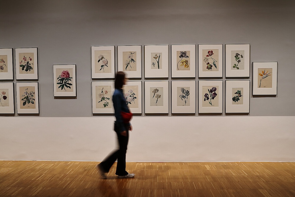 Ausstellungsansicht "Analytische Schönheit"  Foto: Universalmuseum Joanneum/J.J. Kucek