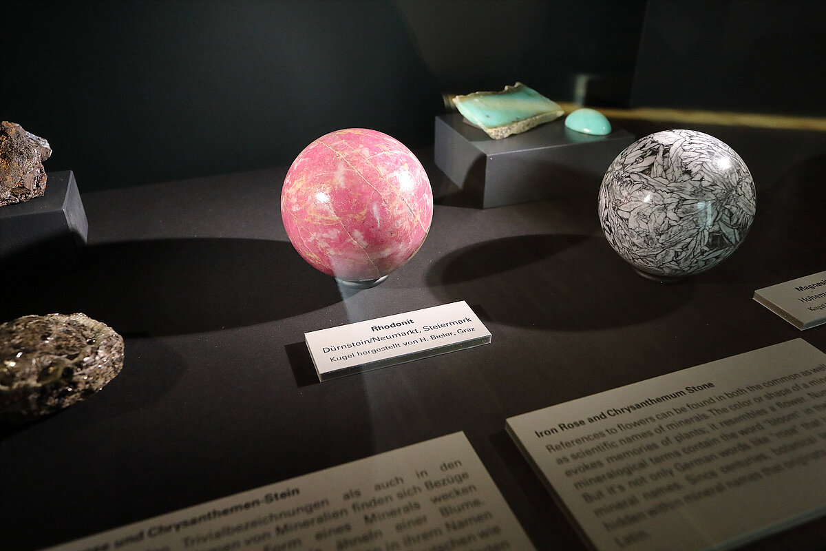 Ansicht der Intervention "Eisenrose und Chrysanthemen-Stein" in den Mineraliensälen im Naturkundemuseum