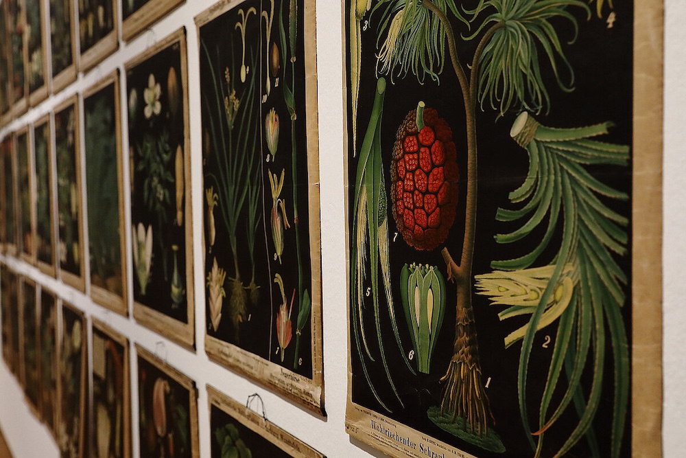 Ausstellungsansicht "Analytische Schönheit"  Foto: Universalmuseum Joanneum/J.J. Kucek