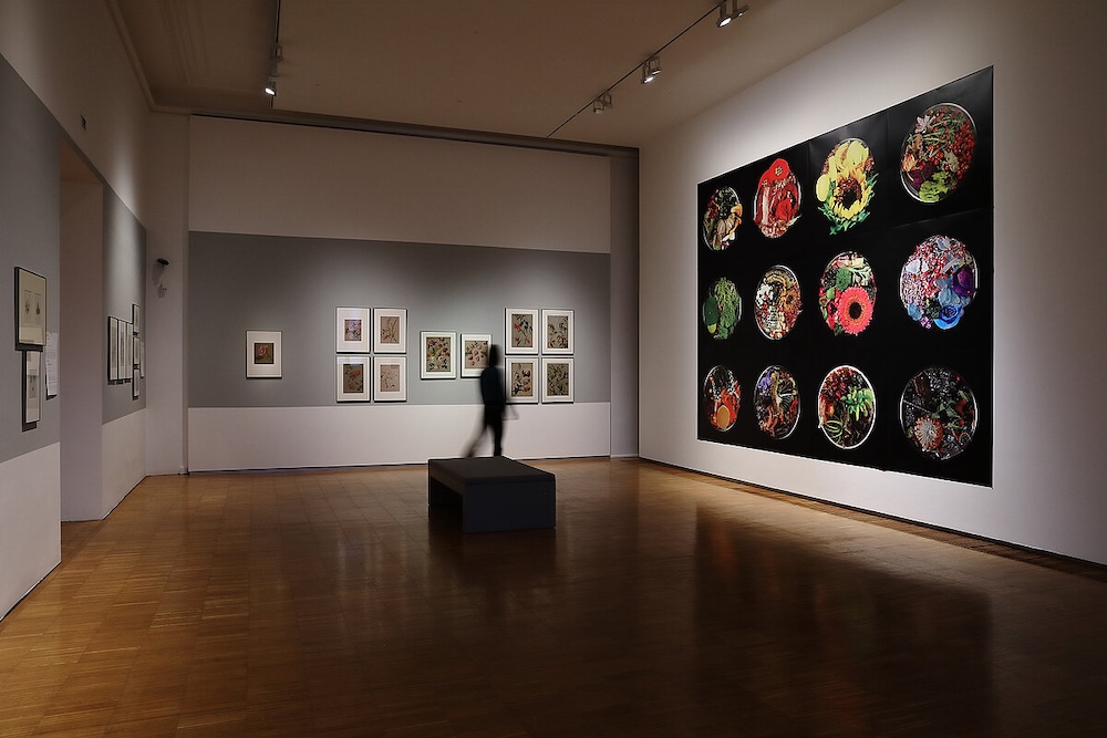 Ausstellungsansicht "Analytische Schönheit"; rechts die Kunstintervention von Suzanne Anker  Foto: Universalmuseum Joanneum/J.J. Kucek