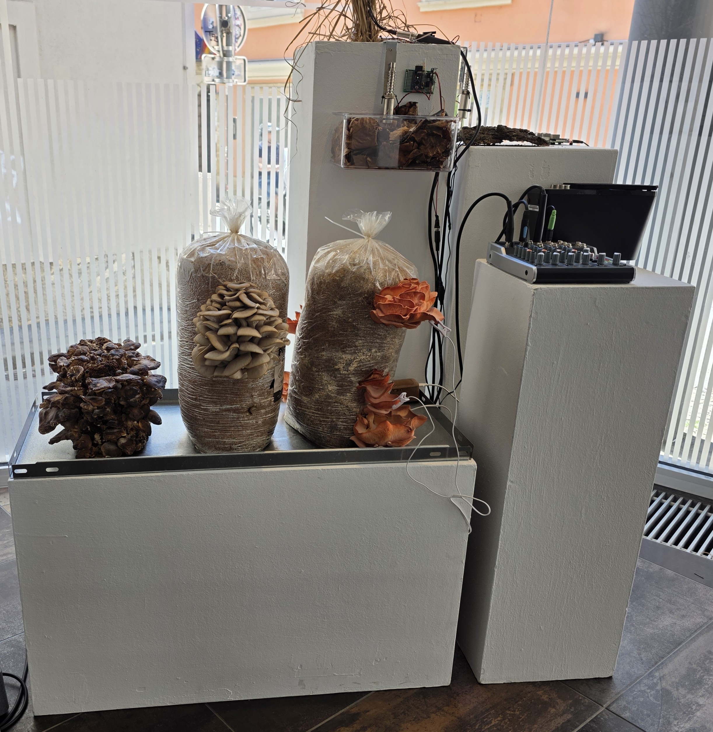 „Re(New) Part 1“ im esc kunst medien labor