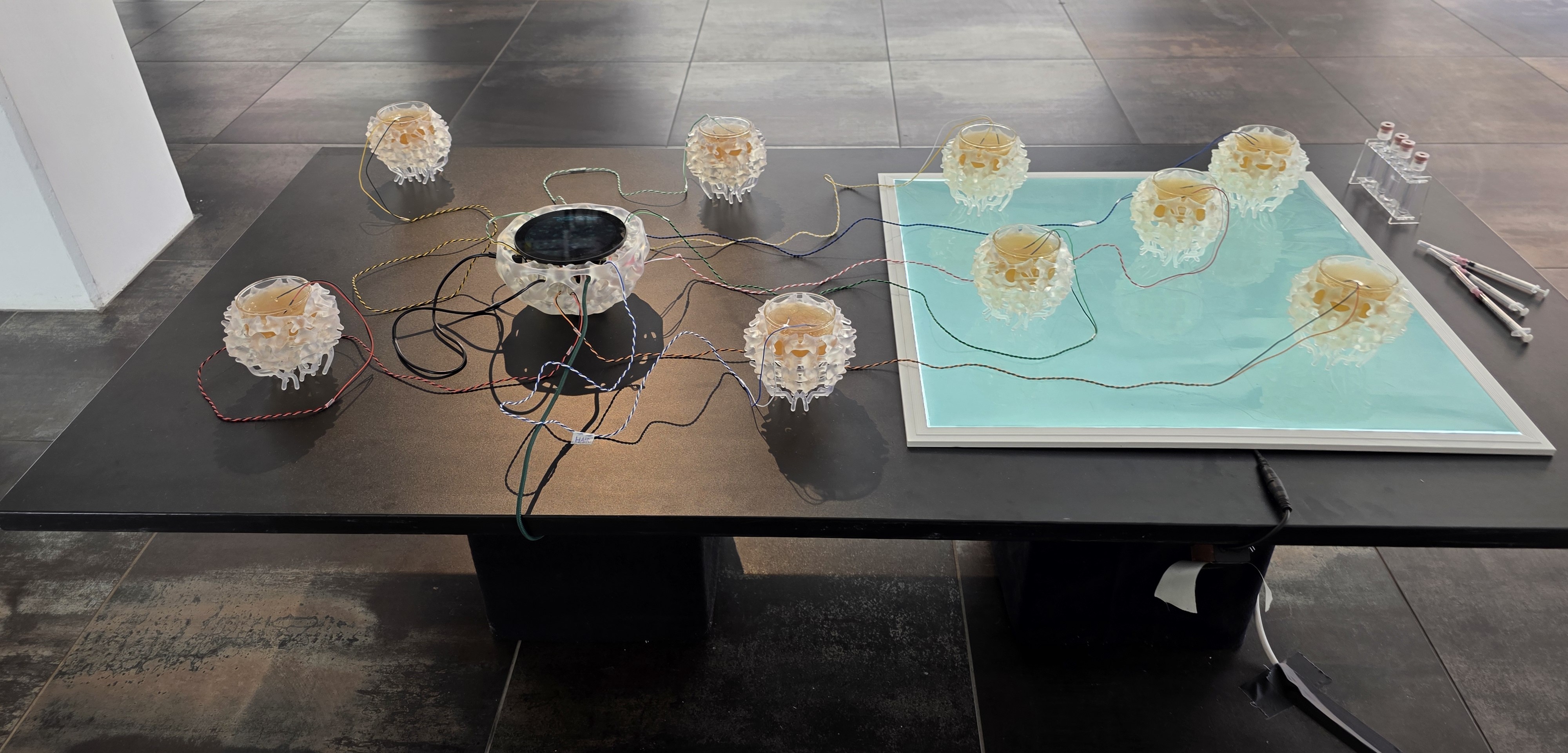 „Re(New) Part 1“ im esc kunst medien labor