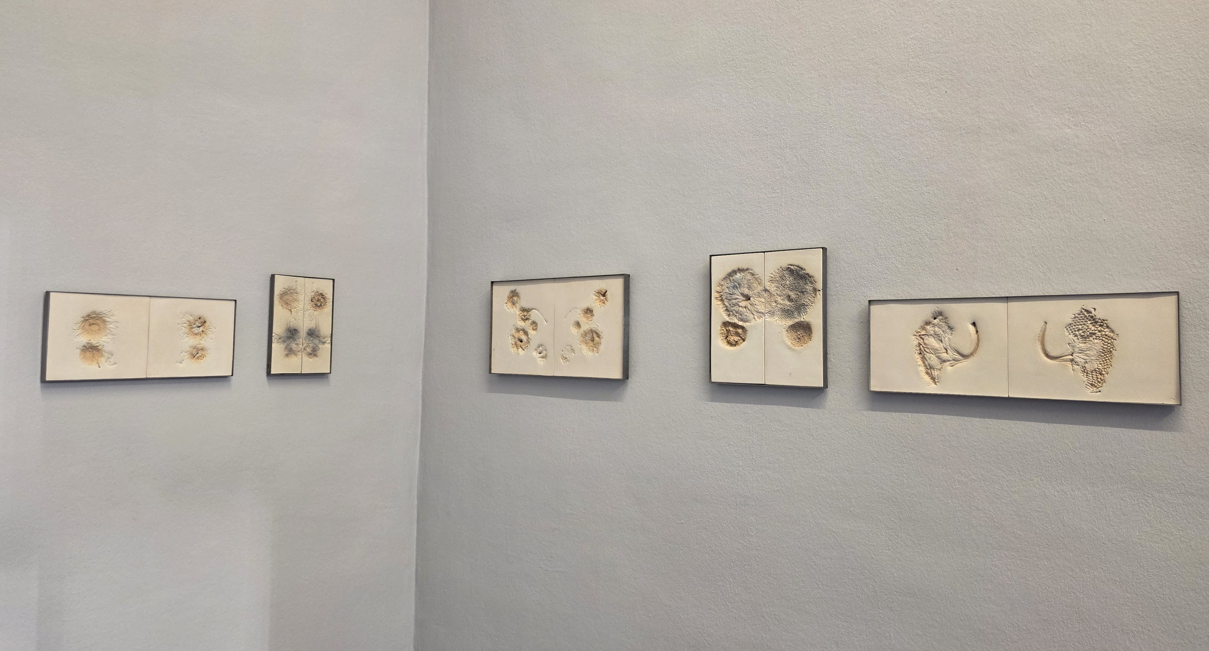 Fotocredit: „Fassungen“ von Barbara Schmid (Fotocredit kuma) „Eine Parabel über Enden und Anfänge, die wir noch nicht kennen: Teil 2: Das kolossale Landtier“– Ausstellung im <rotor>