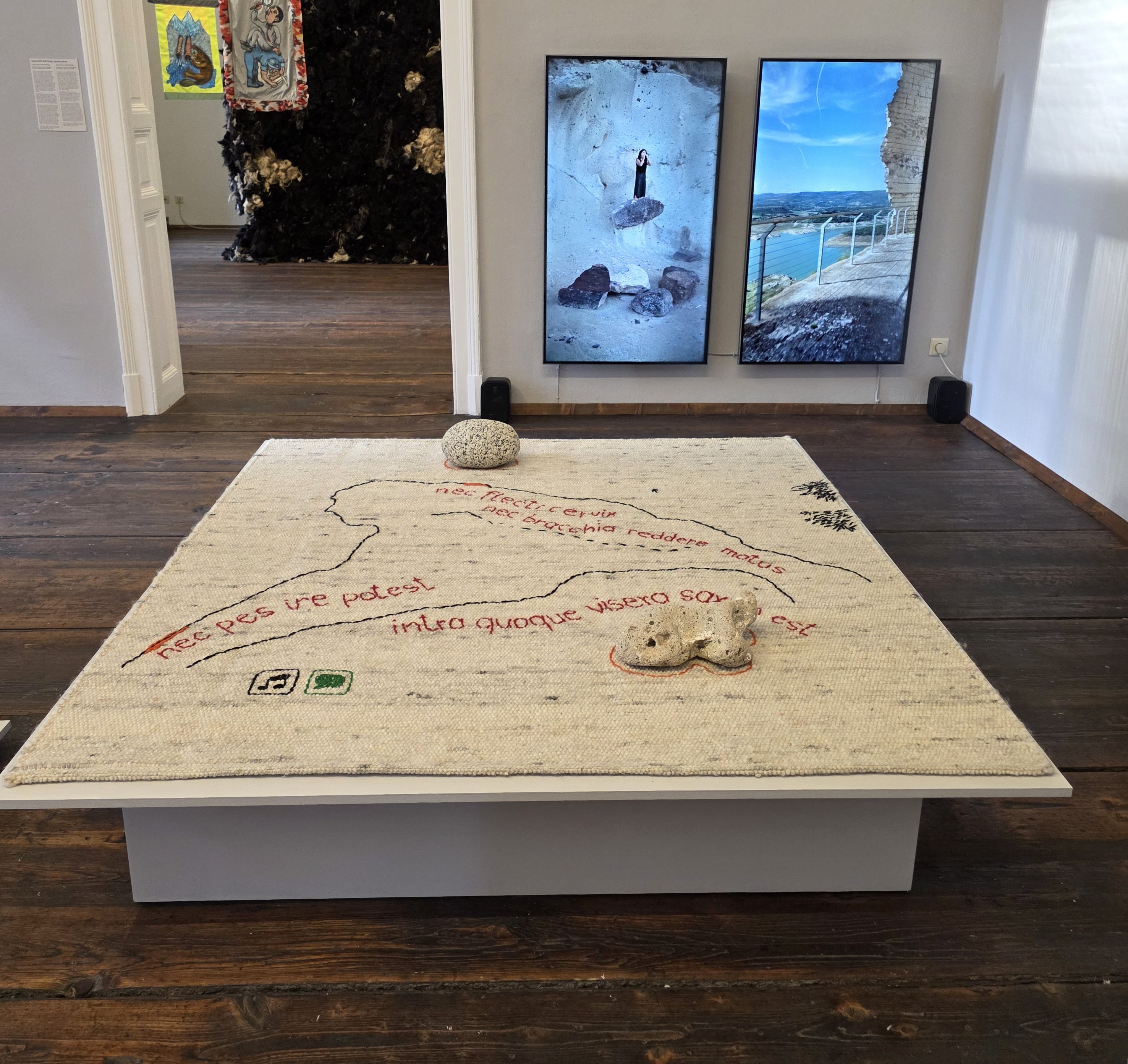 Fotocredit: „Hey Siss Phus, Stone Speaking!“ von Moira Zoitl und Marina Pittau (Fotocredit kuma) „Eine Parabel über Enden und Anfänge, die wir noch nicht kennen: Teil 2: Das kolossale Landtier“– Ausstellung im <rotor>