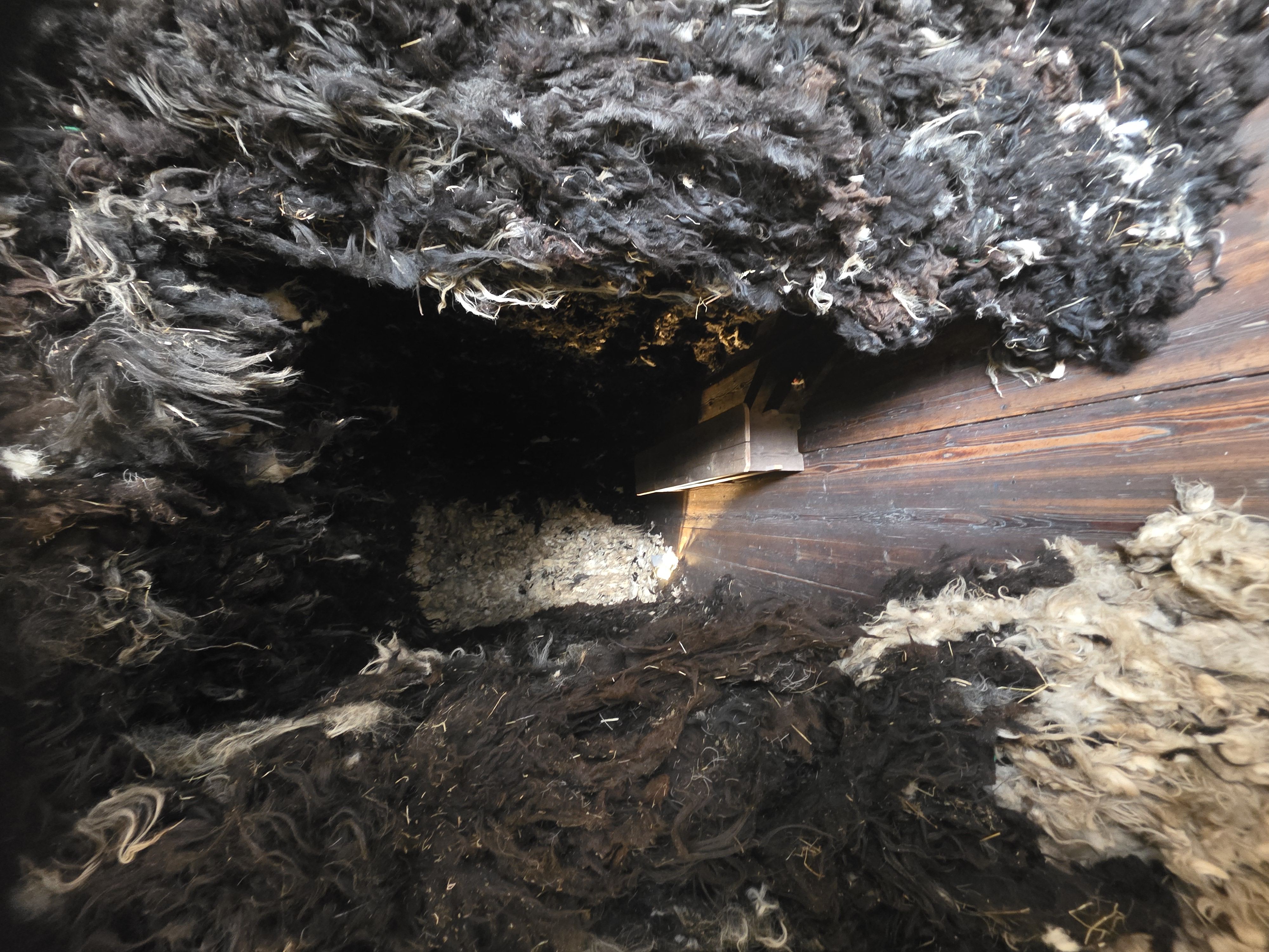 Fotocredit: „DEWOOL 2“ - ein Blick in Folke Köbberlings Höhle (Fotocredit kuma) „Eine Parabel über Enden und Anfänge, die wir noch nicht kennen: Teil 2: Das kolossale Landtier“– Ausstellung im <rotor>