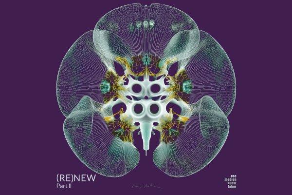 „Re(New) Part II“ im esc kunst medien labor