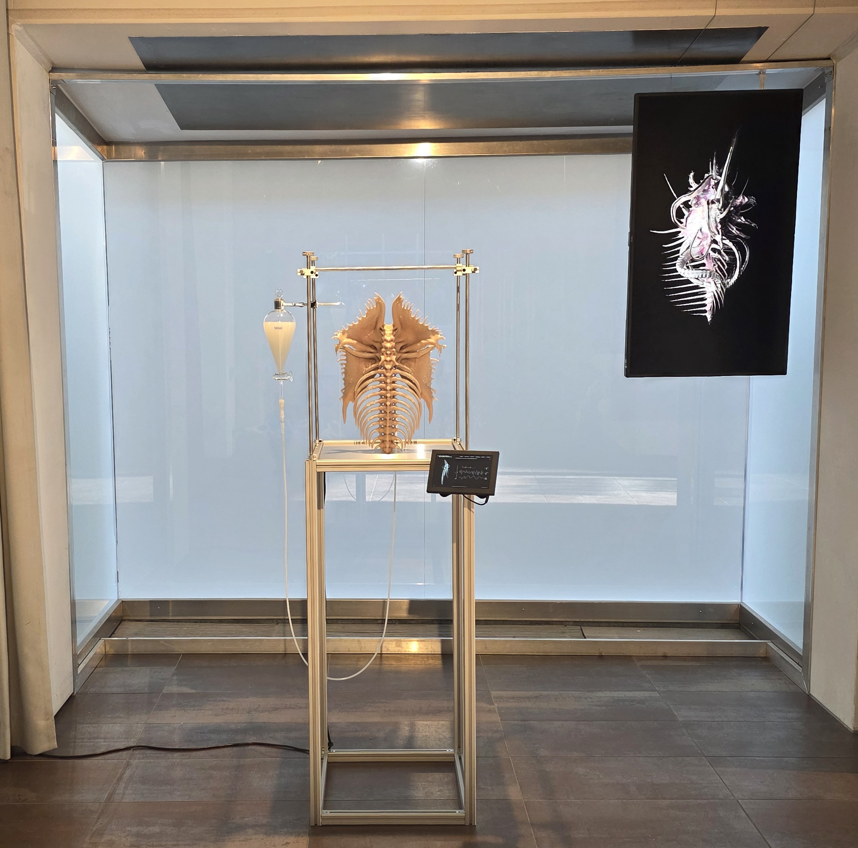 „Re(New) Part II“ im esc kunst medien labor